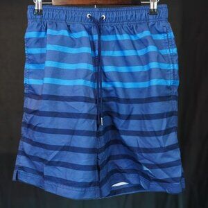 Lands' End Blue Striped Swim Trunks